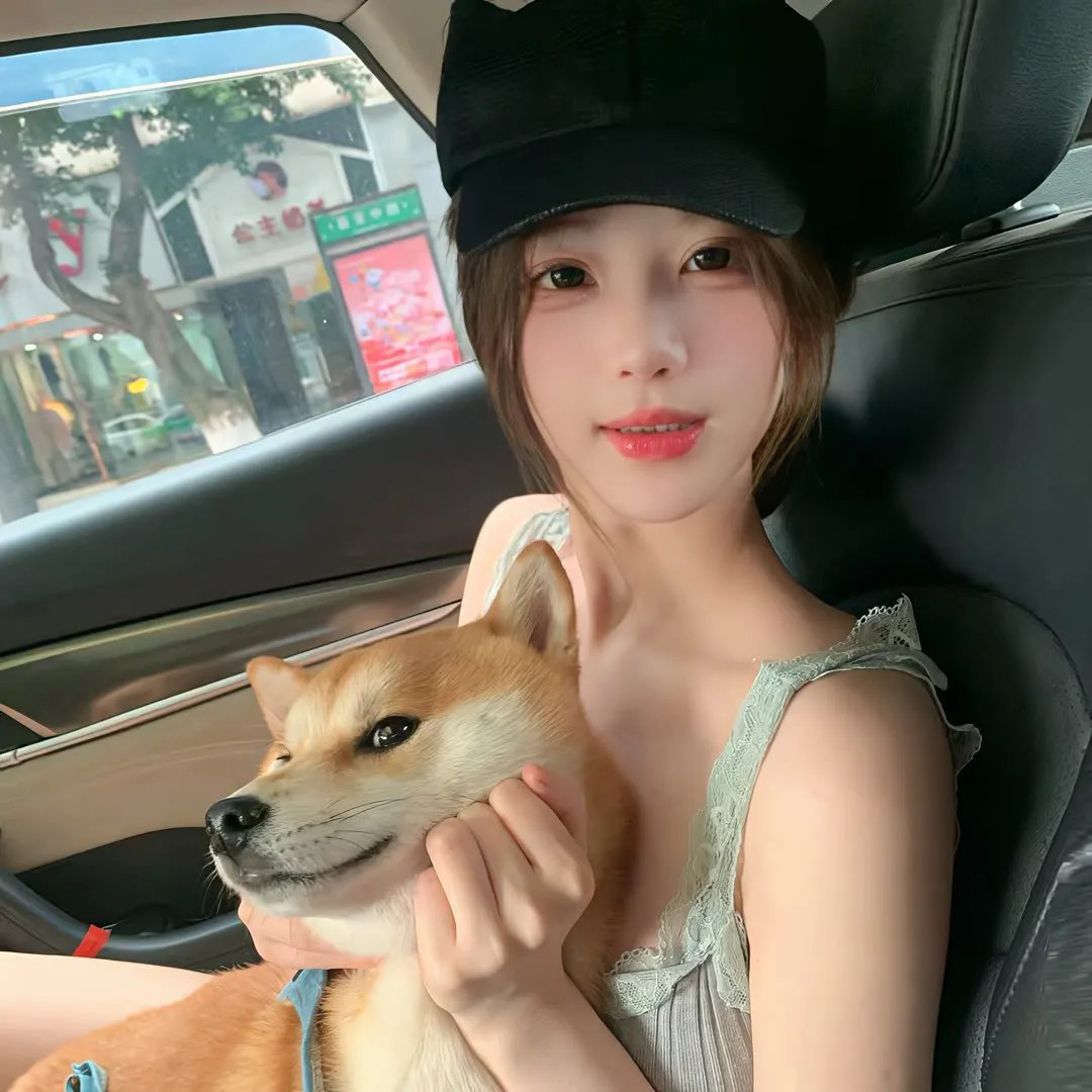 企鹅之岛：福克兰